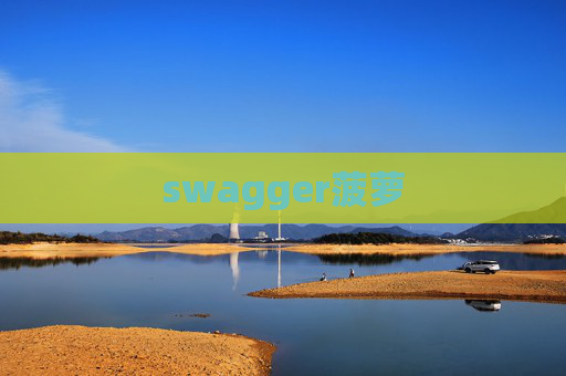 swagger菠萝